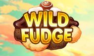 Wild Fudge