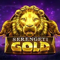 Serengeti Gold